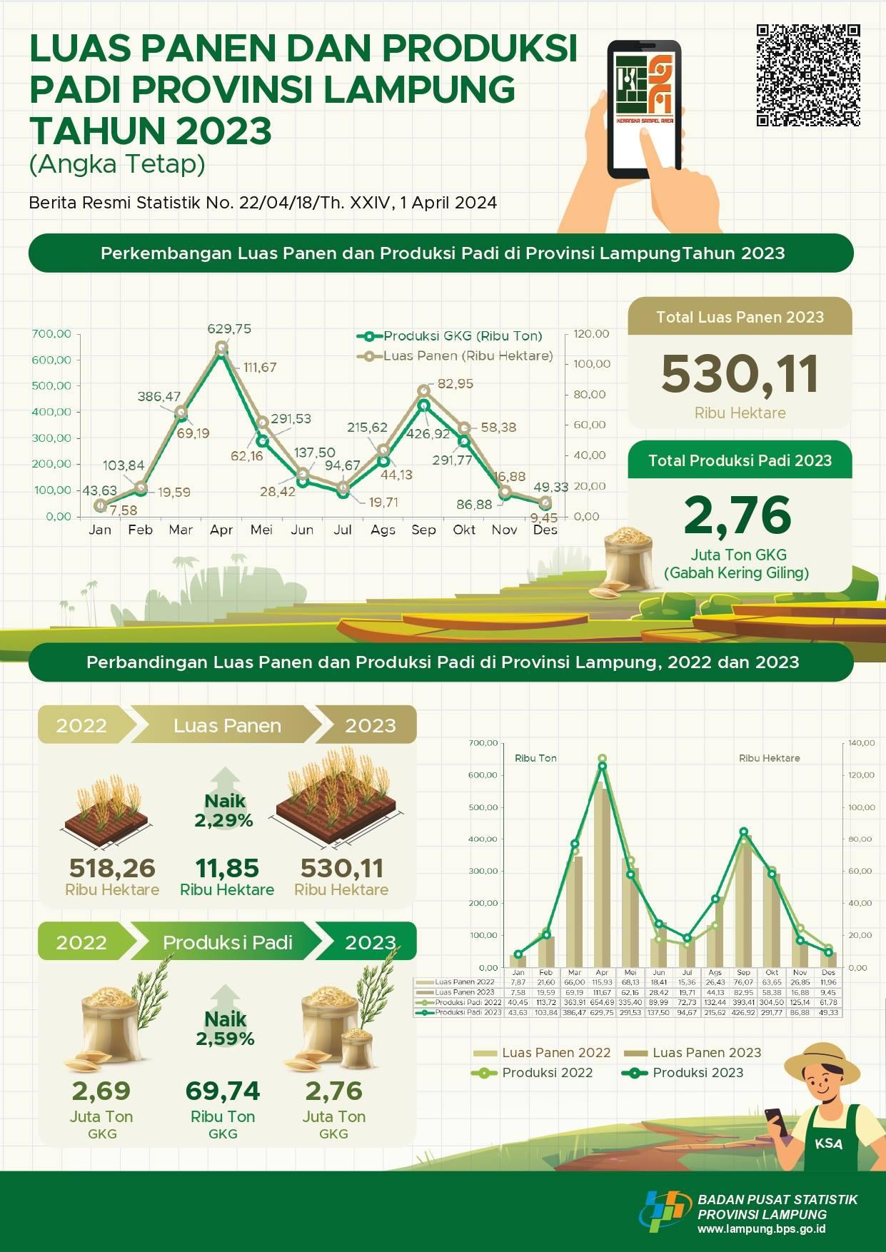 Pada 2023, Luas Panen Padi di Provinsi Lampung Mencapai Sekitar 530,11 Ribu Hektare dengan Produksi Padi Sebesar 2,76 Juta Ton Gabah Kering Giling (GKG)